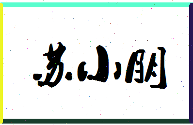 「苏小朋」姓名分数96分-苏小朋名字评分解析