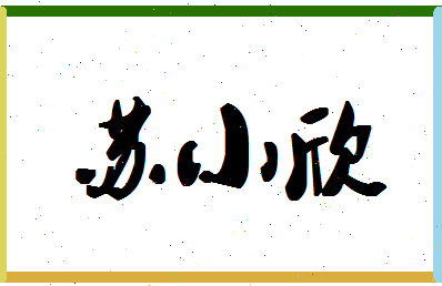 「苏小欣」姓名分数96分-苏小欣名字评分解析