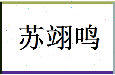 「苏翊鸣」姓名分数98分-苏翊鸣名字评分解析