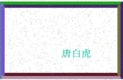 「唐白虎」姓名分数91分-唐白虎名字评分解析-第4张图片