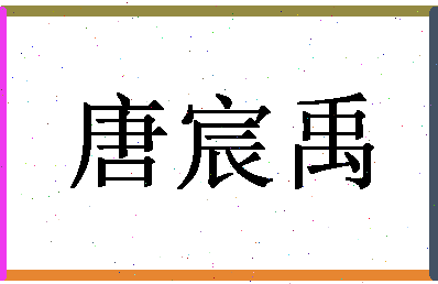 「唐宸禹」姓名分数75分-唐宸禹名字评分解析-第1张图片