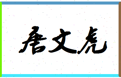 「唐文虎」姓名分数75分-唐文虎名字评分解析-第1张图片