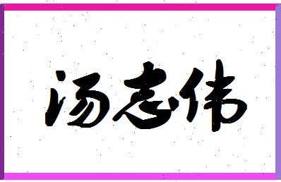 「汤志伟」姓名分数72分-汤志伟名字评分解析