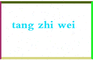 「汤志伟」姓名分数72分-汤志伟名字评分解析-第2张图片