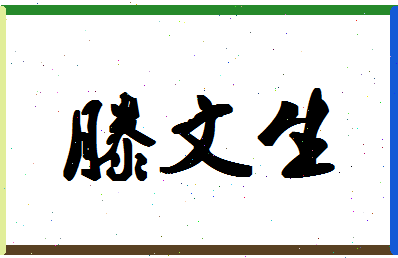 「滕文生」姓名分数90分-滕文生名字评分解析-第1张图片