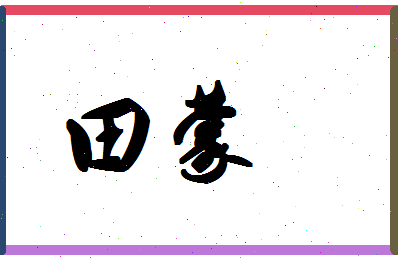 「田蒙」姓名分数98分-田蒙名字评分解析