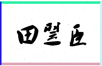 「田翌臣」姓名分数96分-田翌臣名字评分解析-第1张图片