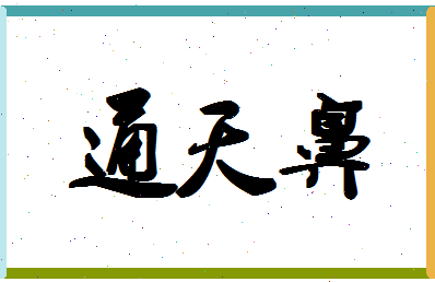 「通天鼻」姓名分数98分-通天鼻名字评分解析