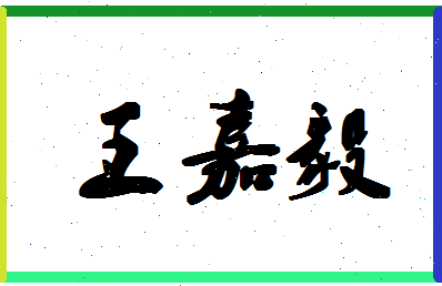 「王嘉毅」姓名分数98分-王嘉毅名字评分解析