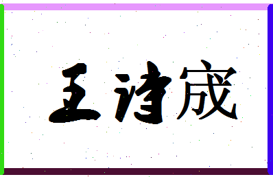 「王诗宬」姓名分数77分-王诗宬名字评分解析-第1张图片