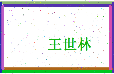 「王世林」姓名分数82分-王世林名字评分解析-第4张图片