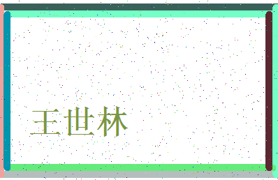 「王世林」姓名分数82分-王世林名字评分解析-第3张图片