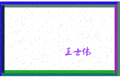 「王士伟」姓名分数85分-王士伟名字评分解析-第4张图片
