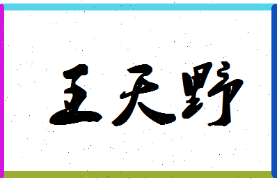 「王天野」姓名分数91分-王天野名字评分解析