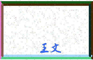 「王文」姓名分数98分-王文名字评分解析-第3张图片