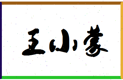 「王小蒙」姓名分数90分-王小蒙名字评分解析