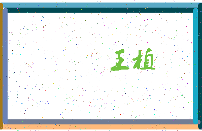 「王植」姓名分数98分-王植名字评分解析-第3张图片