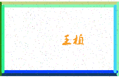 「王植」姓名分数98分-王植名字评分解析-第4张图片