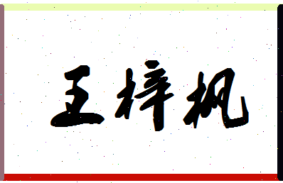 「王梓枫」姓名分数96分-王梓枫名字评分解析