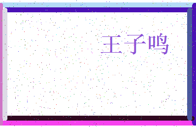 「王子鸣」姓名分数98分-王子鸣名字评分解析-第3张图片