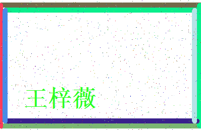 「王梓薇」姓名分数85分-王梓薇名字评分解析-第3张图片