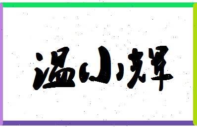 「温小辉」姓名分数95分-温小辉名字评分解析