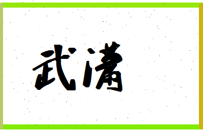 「武潇」姓名分数62分-武潇名字评分解析