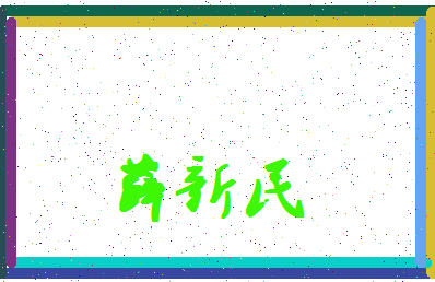 「薛新民」姓名分数88分-薛新民名字评分解析-第4张图片