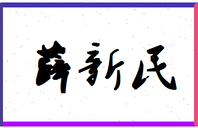 「薛新民」姓名分数88分-薛新民名字评分解析-第1张图片