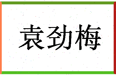 「袁劲梅」姓名分数80分-袁劲梅名字评分解析